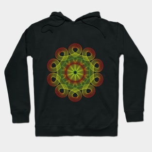 colorful rosette Hoodie